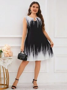 SHEIN Clasi Plus Size Color Blocked Sleeveless Dress