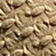 Màu Khaki