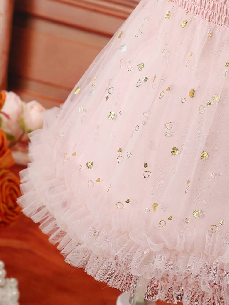 Baby Girl Embroidered Mesh Panel Dress