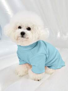 PETSIN Lindo Suéter De Mascota De Cuello Alto Tejido