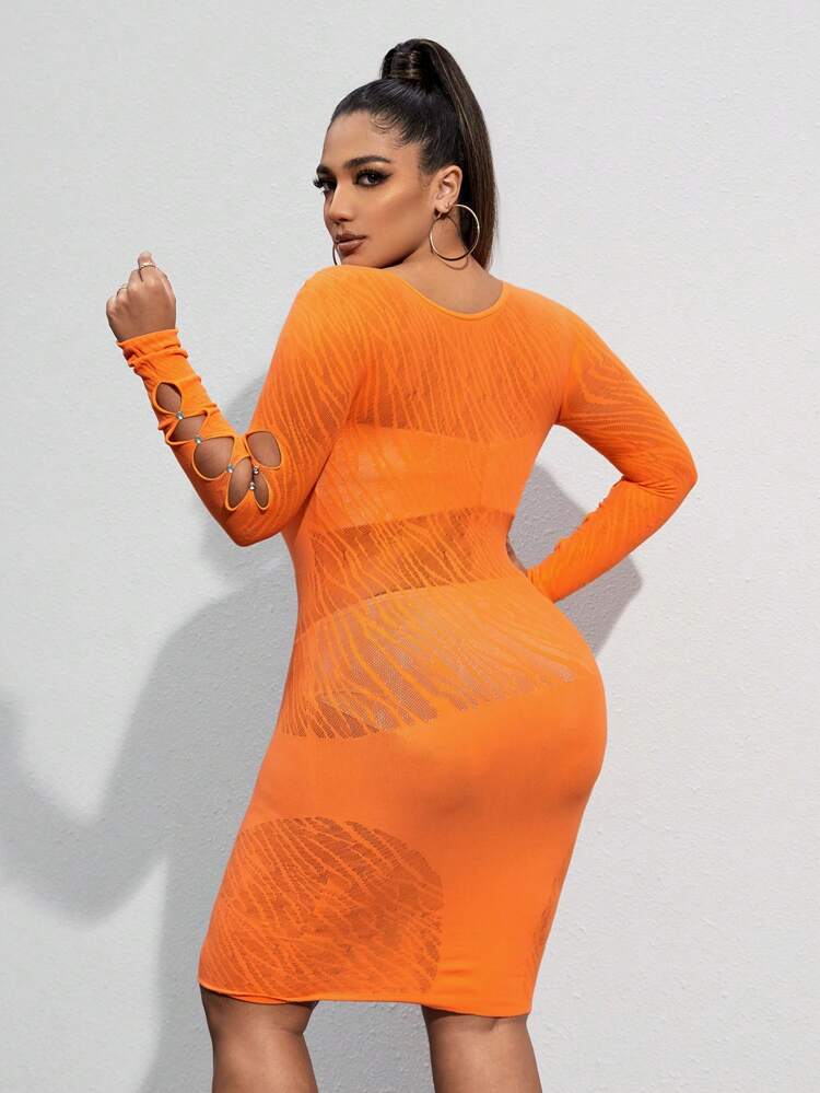 Plus Size Women's Spring Summer Sexy Lace Seamless High Elasticity Hollow Out Long Sleeve Bodycon Dress With Sheer Details