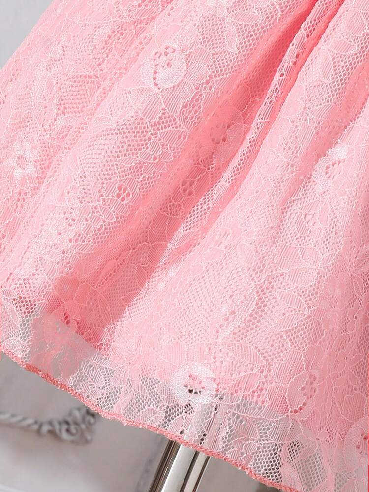 Baby Girl Pink Lace Embroidery Stand Collar Flower Elegant Gorgeous Casual Dress For Daily And Leisure In Spring And Summer