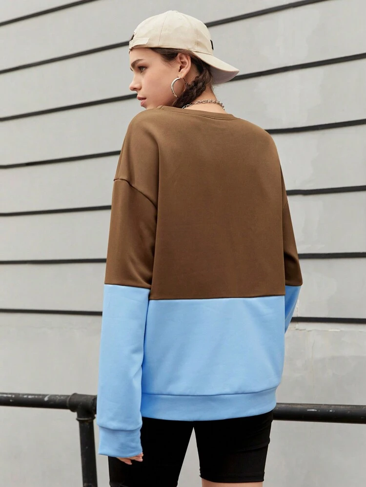 Women's Color Block Printed Simple Style Sweatshirt