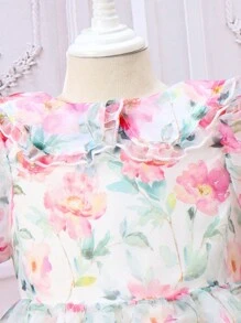SHEIN Young Girl's Floral Sheer Mesh Puff Sleeve Dress - Multicolor - View 3