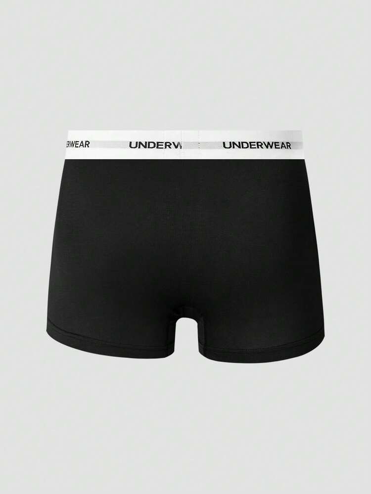 Men's Flat Angle Panties With Letter Jacquard Elastic Waistband, 4pcs/Pack