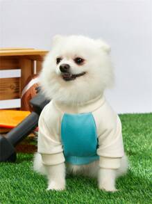 PETSIN 藍色杏色拼接寵物印花套衫,帶有狗狗足球聯賽印花,適用於貓狗 - 彩色 - 查看 4