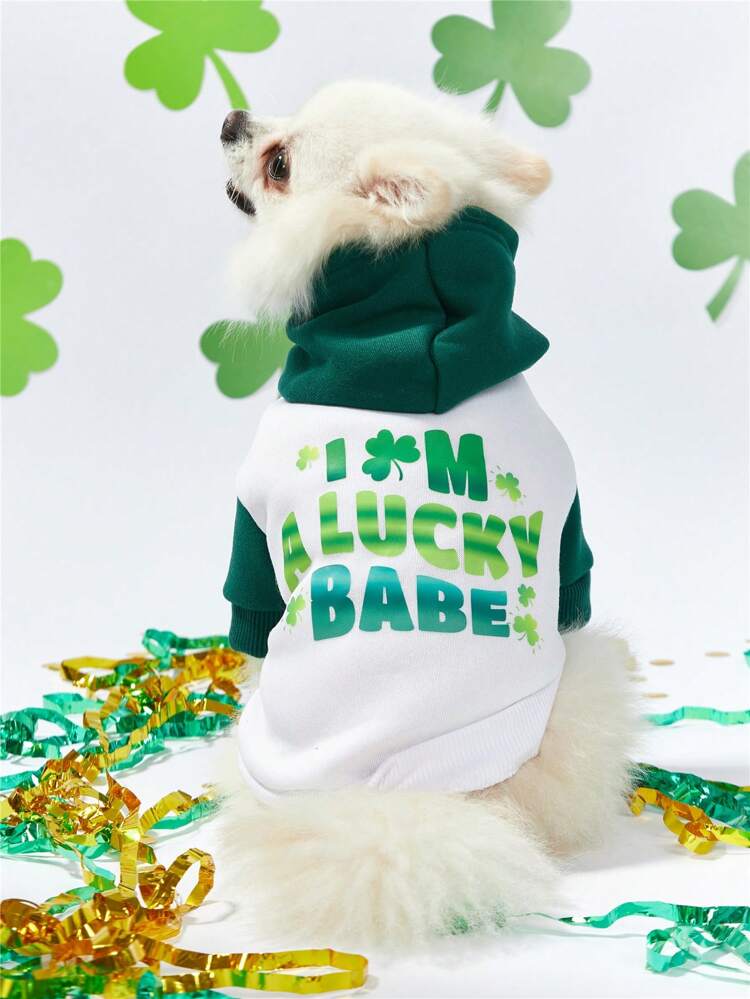 Pet Saint Patrick's Day Slogan Printed Hooded Sweatshirt With Green & White Patchwork