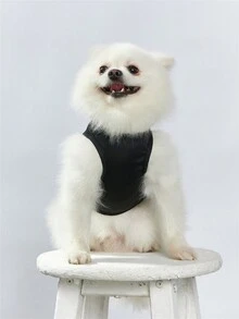 Jessica Queiroga 1件寵物貓狗背心,小狗大愛情信和心形印花