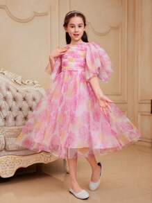 SHEIN Leap Crew Tween Girls' Cute Floral Print Mesh Dress With Round Neckline, Exaggerated Ruffle Sleeves - Multicolor - View 3