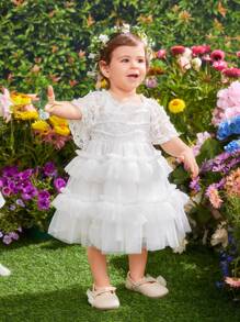 SHEIN Babymädchens niedliches Spitzen- & Netz-Kontrast Rüschen-Saum Kurzarm Kleid - Weiss - Übersicht 4