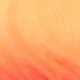 Coral Orange