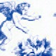 Blue and White