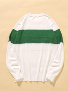 Manfinity Hypemode Men'S Round Neck Colorblock Long Sleeve Sweater