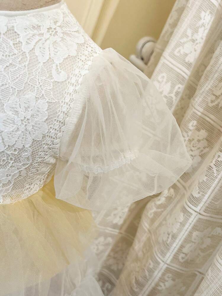 Baby Girl Lace Tulle Ruffle Hem Dress With Puff Sleeves