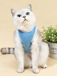 PETSIN Mama's Boy Forever Blue Pet Print Top, 1pc