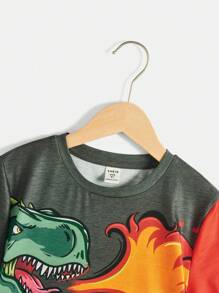 SHEIN Camiseta de dinosaurio de ajuste holgado y cómodo con gráfico y diseño de bloques de color para niño preadolescente
