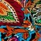 Multicolor