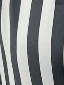 SHEIN Privé Của phụ nữ Chấm bi & Sọc Batwing Ngắn tay Áo sơ mi - trắng - Xem 3