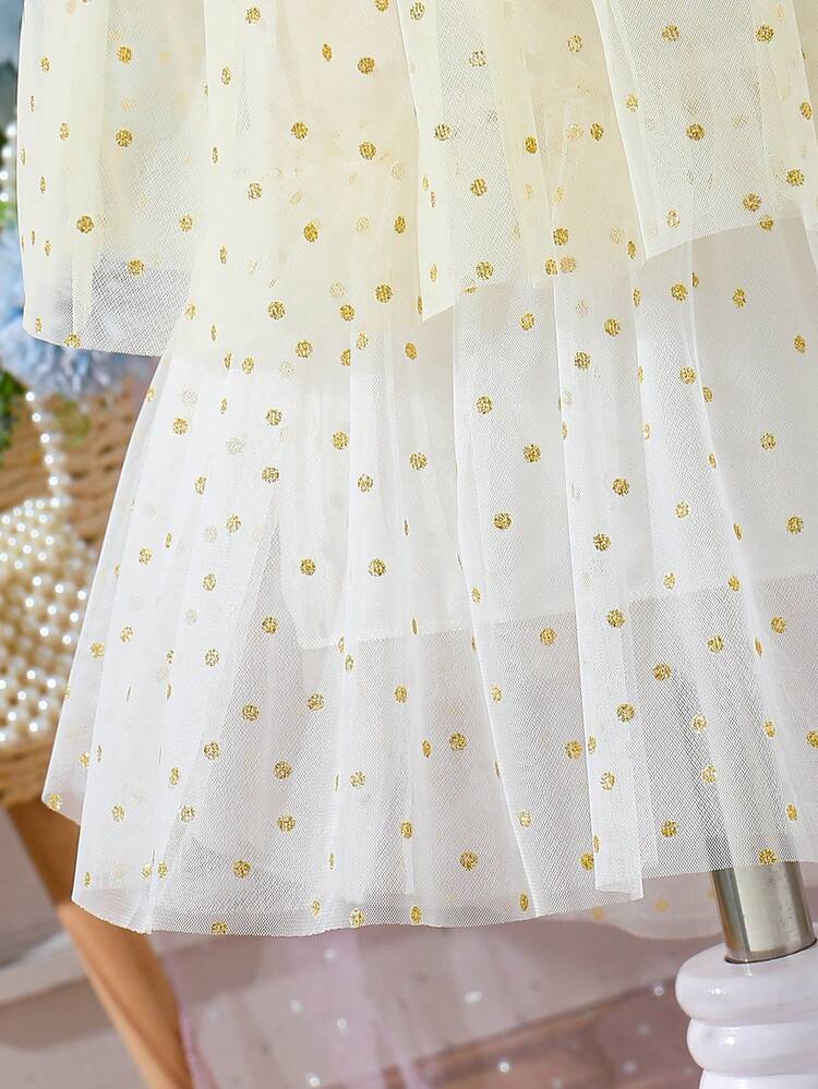 Baby Girl Color-Block Polka Dot Tulle Dress With Embroidered Flower And Tiered Mesh Layers
