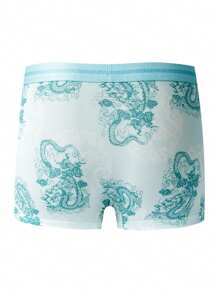 4pcs/Set Men's Printed Boxer Briefs With Dragon & Tiger Pattern - Multicolor - View 6