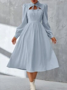 SHEIN Privé Women's Fashion Solid Color Long Sleeve Dress