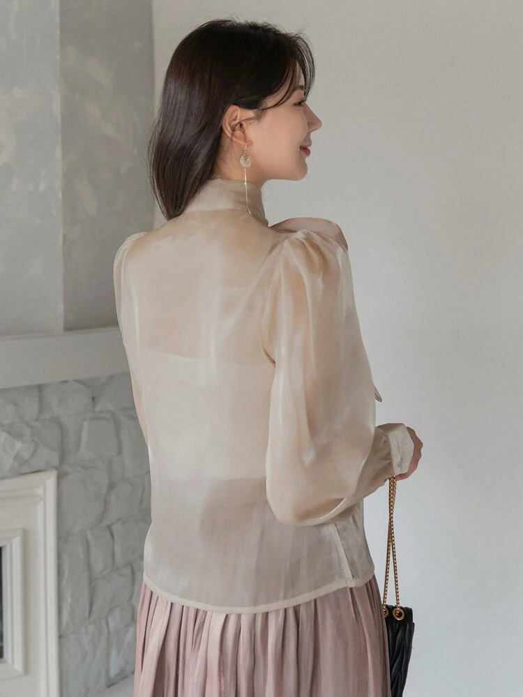 Casual Business Solid Color Tie-Neck Ladies Blouse,Fall Clothes Long Sleeve Top