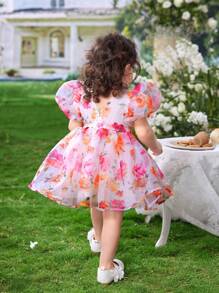SHEIN Baby Girl Vacation Princess Sleeves Flower & Organza Printed Fluffy Dress - White - View 3