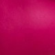 Rosa Fucsia