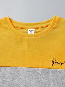 SHEIN 2pcs Setelan Kasual Sehari-hari untuk Anak Laki-Laki: Kaos Lengan Pendek Leher Bulat dengan Motif Huruf dan Celana Pendek - Kuning - View 4