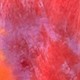 Burnt Orange