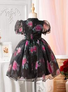 SHEIN Glamorique Kids Kleid Mit Floralen Druck Für Junge Mädchen Mit Ausgeschnittener Mock-hals Puffärmel Und Mesh