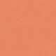 Coral Orange