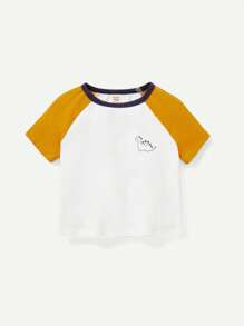 Cozy Pixies Baby Boy Cartoon Dinosaur Pattern Short Sleeve Color Block Round Neck Top 3pcs/Set
