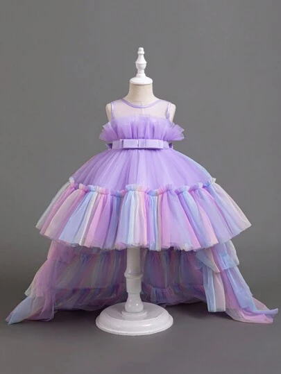 SHEIN Glamorique Kids 年轻女孩分层下摆彩色新娘花童礼服，适合生日派对和婚礼