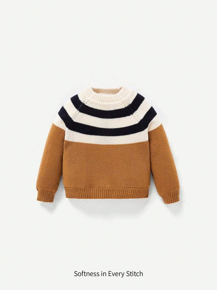 Baby Boy Colorblock Raglan Sleeve Sweater