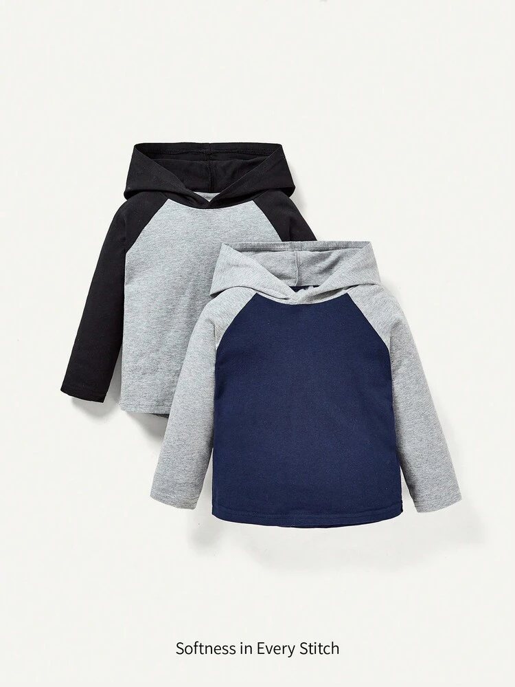 Baby Boy 2pcs Color Block Raglan Sleeve Hooded Top
