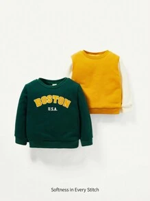 Baby Boy Letter Graphic Sweatshirt and Colorblock Pullover
