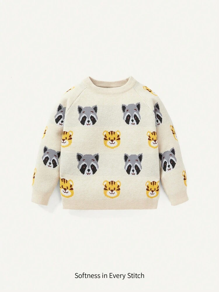 Baby Boy 1pc Cartoon Pattern Raglan Sleeve Sweater