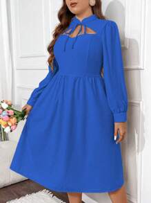 SHEIN Unity Plus Solid Color Romantic Long Sleeve Hollow Out Dress - Blue - View 5