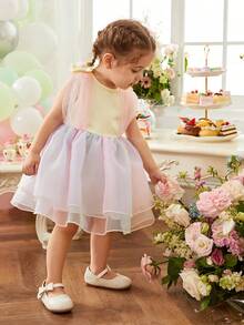 Baby Girl Spring/Summer Sweet Lovely Cute Gradient Mesh Dress - Multicolor - View 4