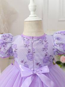 Stickerei-Mesh-Kontrast-Puffärmel Hübsches Kleid für Baby-Mädchen