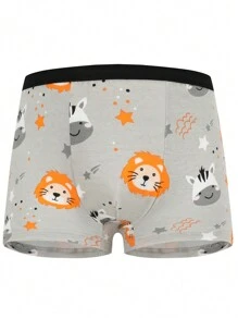 Chico joven 4 piezas Calzoncillos boxer con estampado de dibujos animados