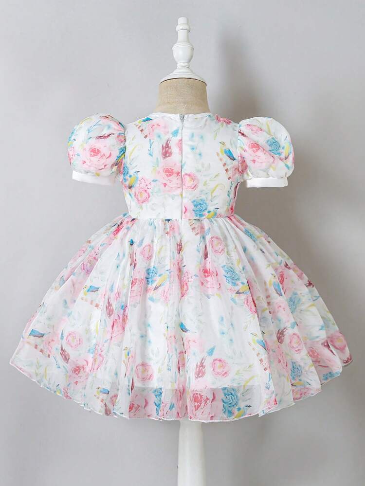 Baby Girl Mesh Printed Fluffy Cute Elegant Dress, Suitable For Birthday Party, Evening Party, Wedding, Baptism, First Birthday
