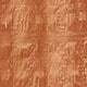 Coral Orange
