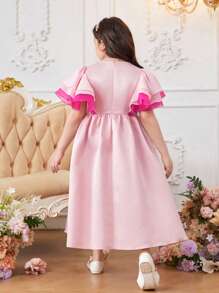 SHEIN Tween Girls Plus Size Casual Broderad Mesh Panel Färgblock Rund Hals Ruffle Trim Klänning, vår/sommar