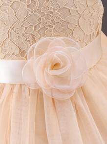 SHEIN Glamorique Kids 女婴香槟色薄纱 3D 花卉装饰无袖派对礼服，夏季婚礼季 - 杏色 - 查看 4