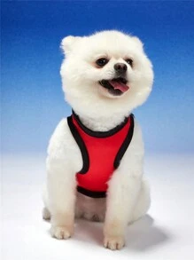 PETSIN Áo vest thú cưng in chữ hoạt hình ngộ nghĩnh dành cho chó và mèo, màu đỏ - Nhiều màu - Xem 5