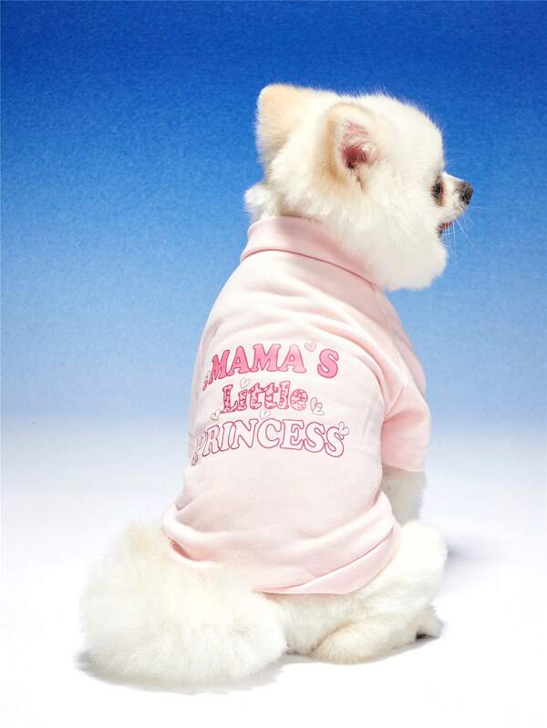 PETSIN Leuke, met letters bedrukte, roze unisex huisdierhoodie voor katten en honden
