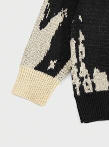 ROMWE MEN Street Life Men Graphic Pattern Pullover Sweater, School, For Fall Winter, Long Sleeve Top