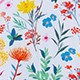 Nhiều màu